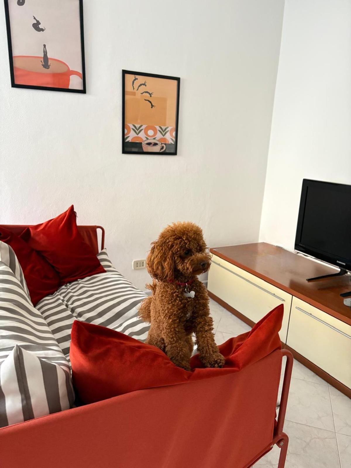 Casa Dell'Opera Apartment เปซาโร ภายนอก รูปภาพ